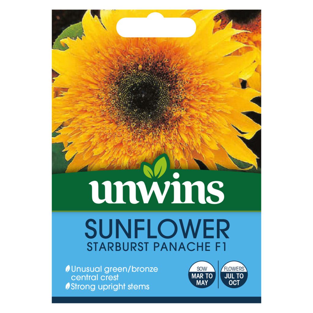 Unwins Sunflower Starburst Panache F1 Seeds 5051618012331 2